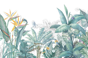 Light Green Strelitzia Leaves Wallpaper Mural