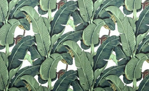 Tropical Plant Leaves Wallpaper Mural