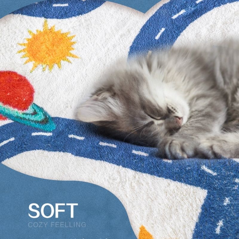 Round Area Rug Space Highway Road