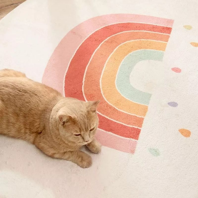 Round Area Rug Cartoon Rainbow