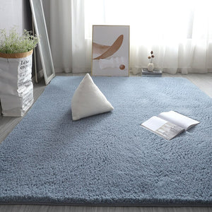 Monochromatic Plush Soft Area Rug