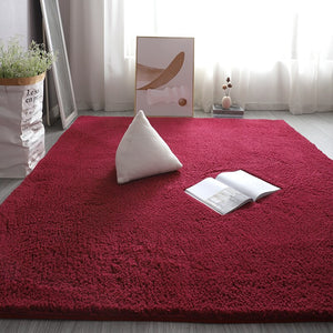 Monochromatic Plush Soft Area Rug