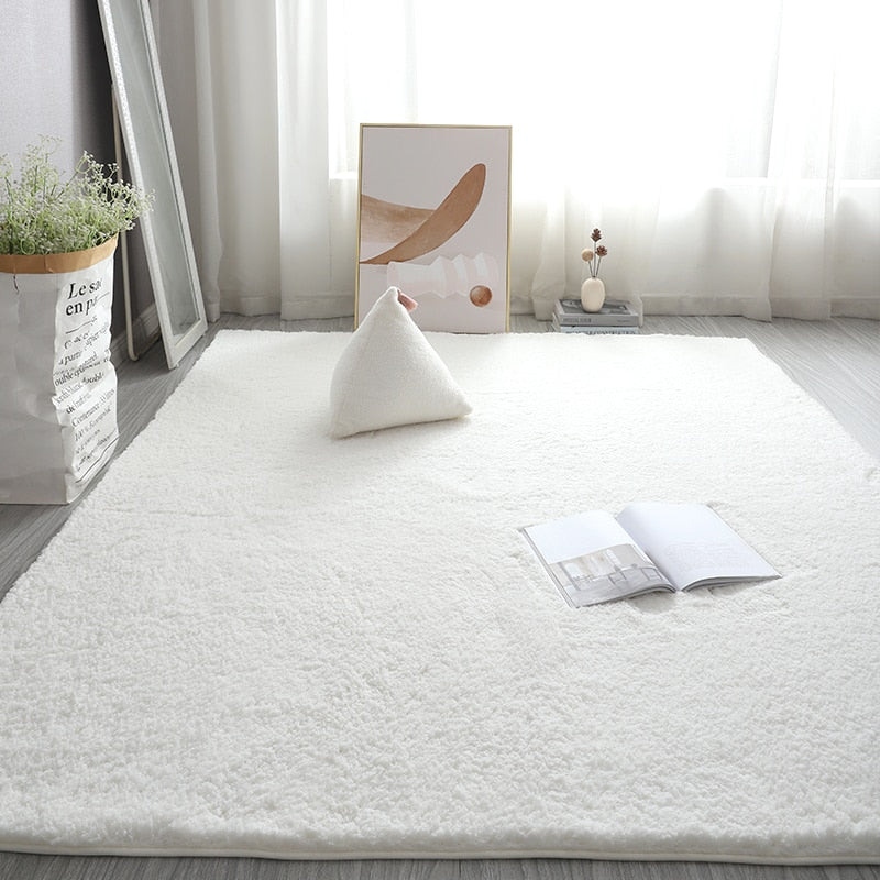Monochromatic Plush Soft Area Rug