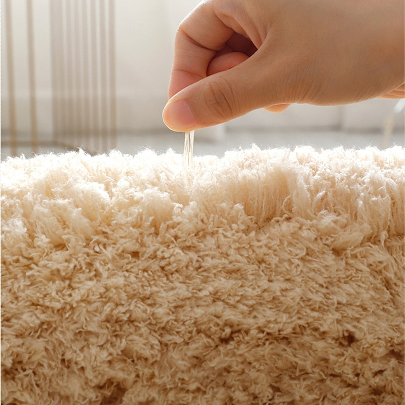 Monochromatic Plush Soft Area Rug