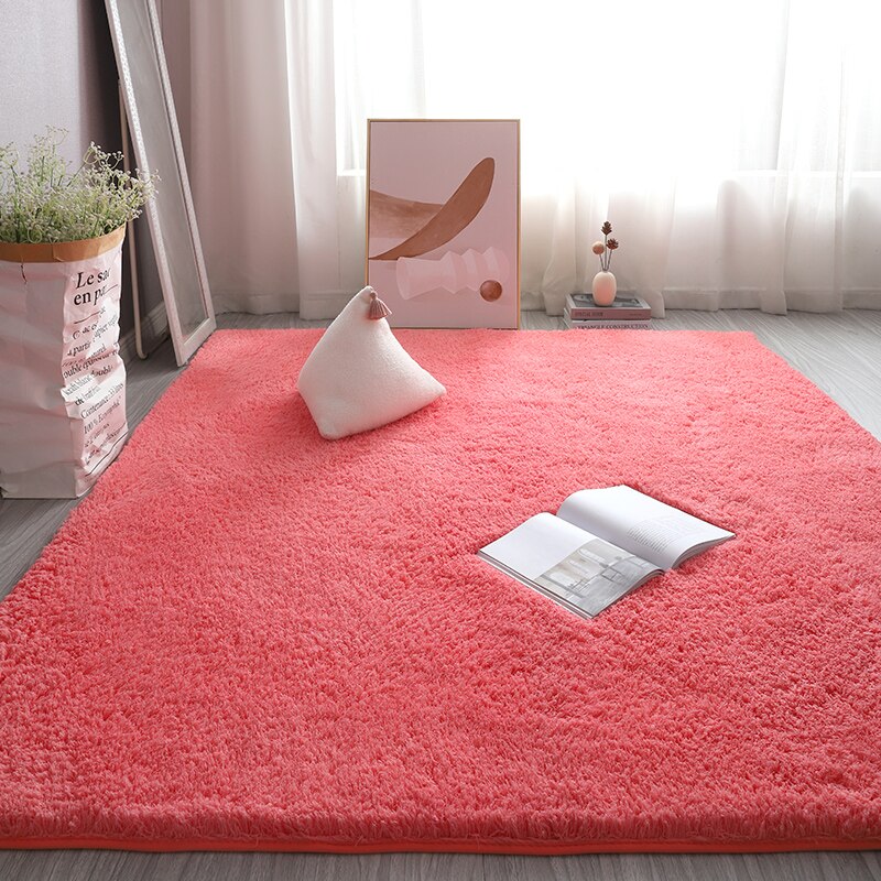 Monochromatic Plush Soft Area Rug