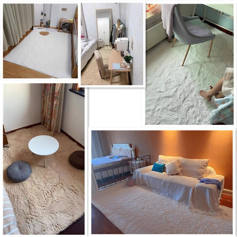 Monochromatic Plush Soft Area Rug