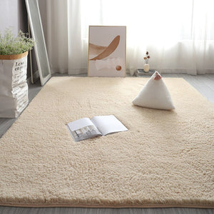 Monochromatic Plush Soft Area Rug