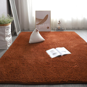 Monochromatic Plush Soft Area Rug