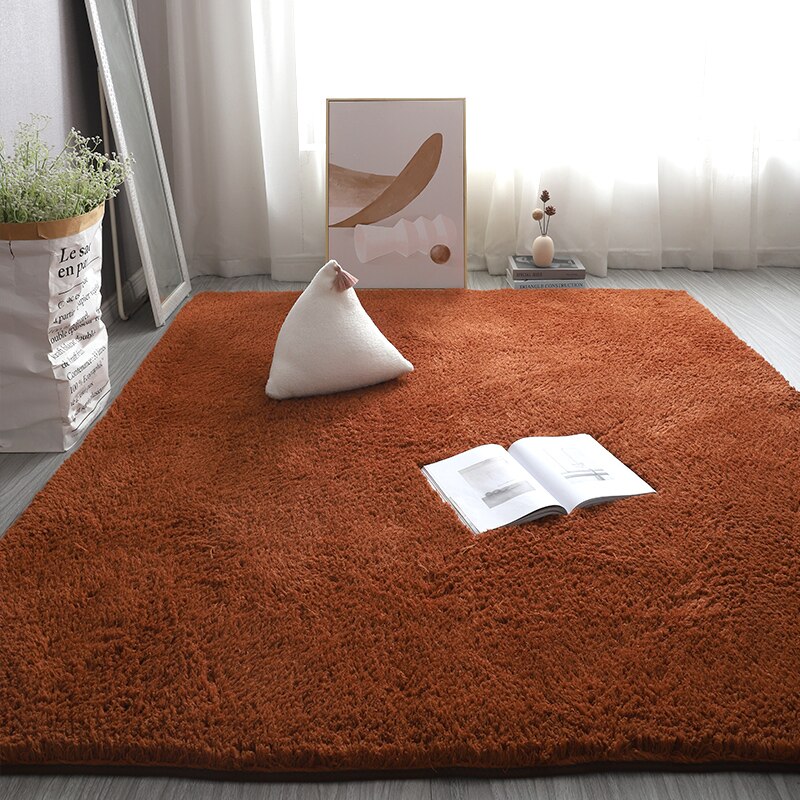 Monochromatic Plush Soft Area Rug