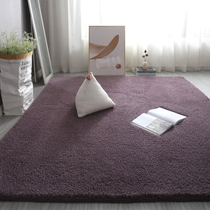 Monochromatic Plush Soft Area Rug