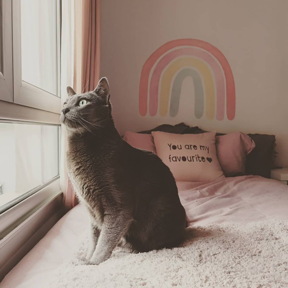 Cartoon Rainbows Wall Decals