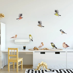Nursery Wall Decals Birds Tit Finch Sparrow