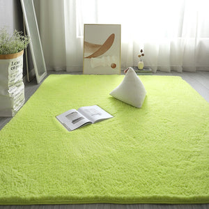 Monochromatic Plush Soft Area Rug