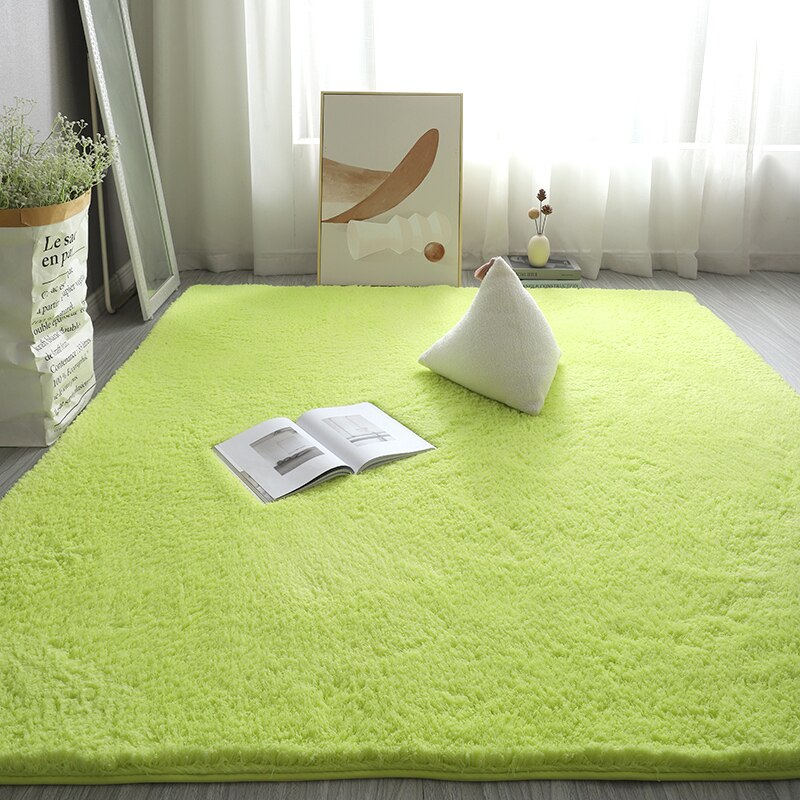 Monochromatic Plush Soft Area Rug