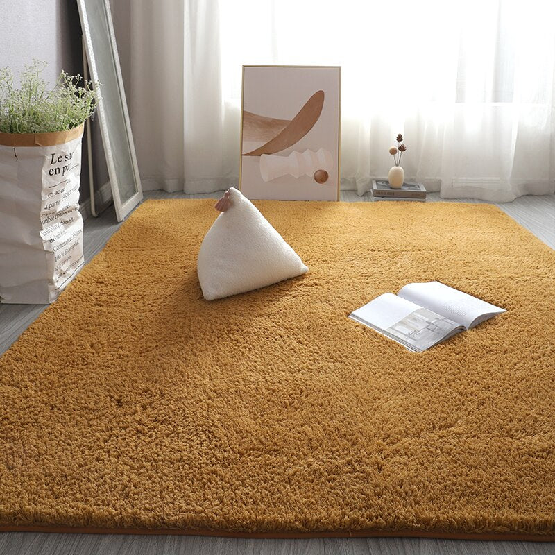 Monochromatic Plush Soft Area Rug