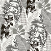 Black and white non-woven wallpaper, plants and leaves GV24277, Good Vibes, Decoprint