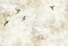 Non-woven mural wallpaper 5001 Garden Hummingbirds, 390 x 260cm, My Dream, Vavex