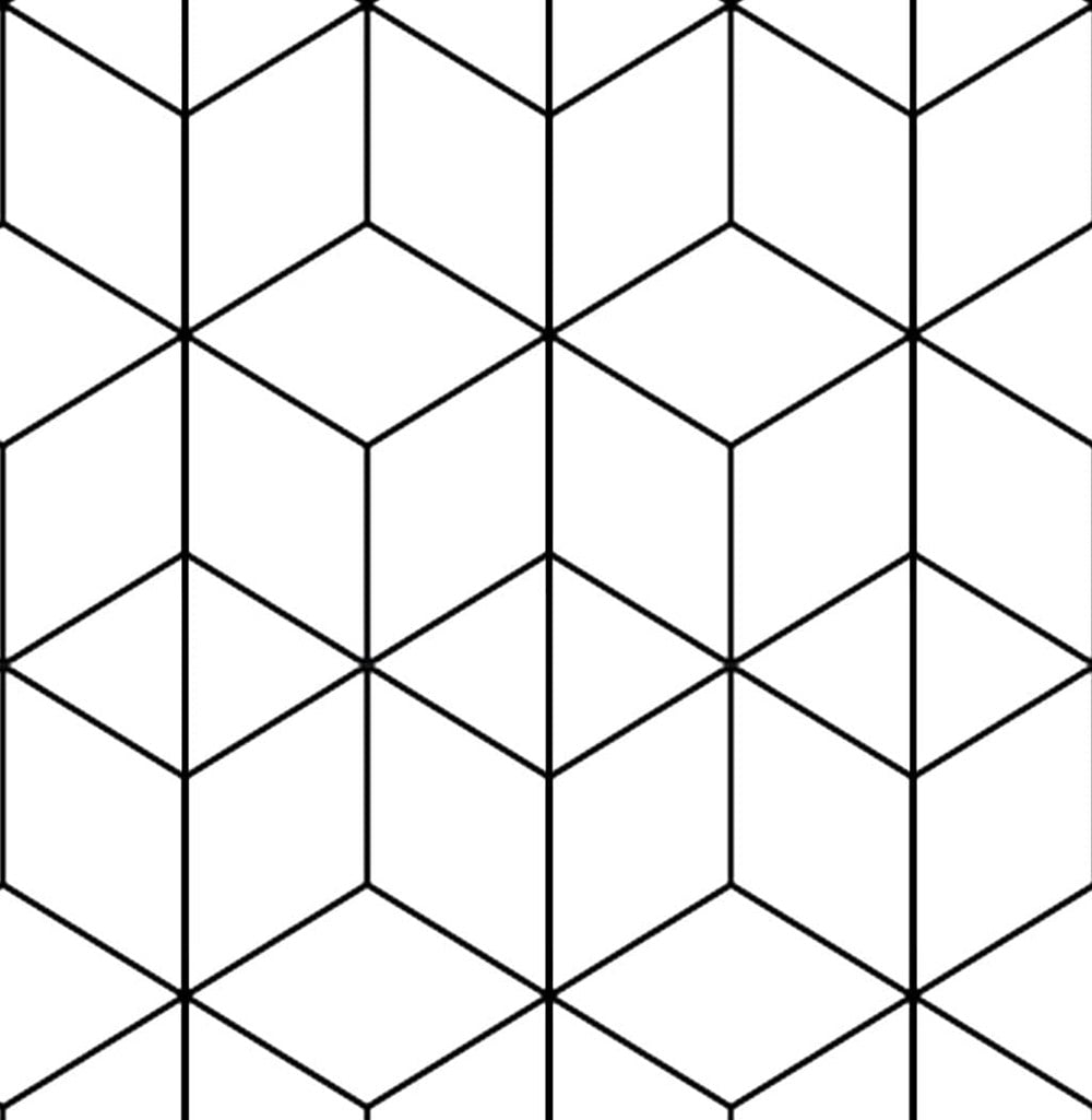 White/Black Hexagon Geometry Peel And Stick Wallpaper