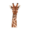 Load image into Gallery viewer, Nursery Wall Decal Cute Alpaca Giraffe