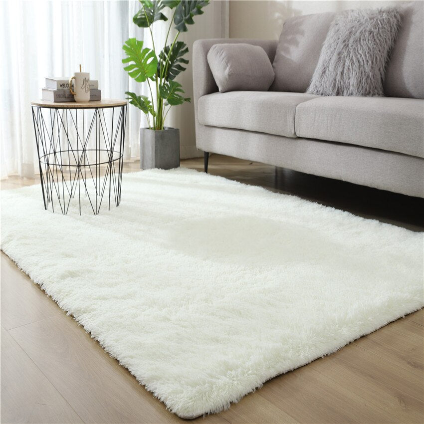 Monochromatic Fluffy Thick Area Rug